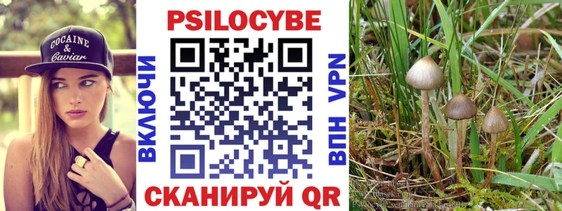 Галлюциногенные грибы мицелий  ОМГ ОМГ ссылки  Тихорецк 